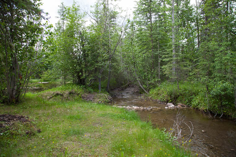 Camp by a Creek